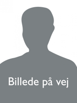 billedepaavej billedepaavej
